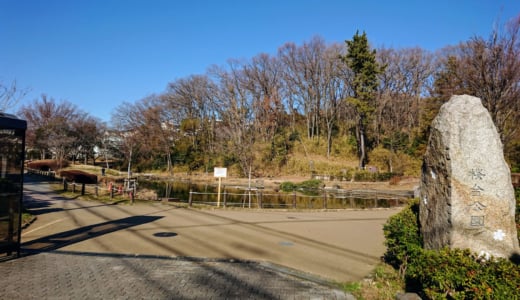 池と雑木林がある桜の名所「桜台公園」（全遊具の写真・トイレ情報あり）