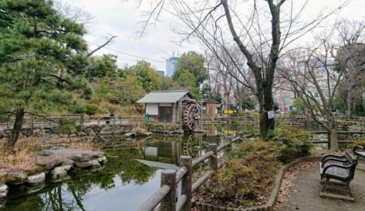 渋谷の癒しスポット「鍋島松濤公園」に行ってきました（遊具・トイレ・公衆電話情報あり）