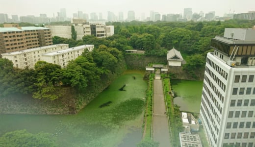 リーズナブルな値段で綺麗な景色を眺めながら食事ができる千代田区役所の職員食堂に行ってきました