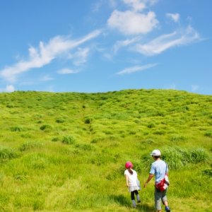【親子ハイキング】都心から日帰りでいける22コースが分かりやすく紹介されている「東京周辺 子どもとおでかけ日帰りハイキング」