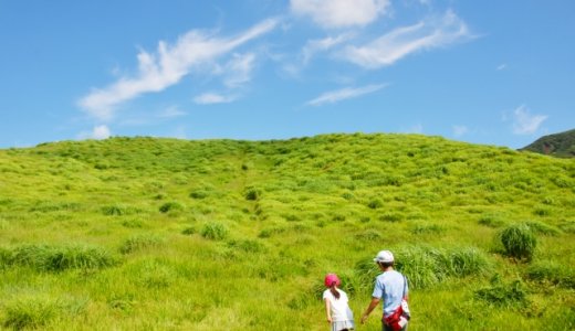 【親子ハイキング】都心から日帰りでいける22コースが分かりやすく紹介されている「東京周辺 子どもとおでかけ日帰りハイキング」