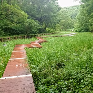 中山駅から徒歩15分！蛍が生息する里山の風景がそのまま残る「四季の森公園」