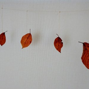 落ち葉を綺麗に保存する裏ワザを試してみました＆落ち葉のカーテンの作り方