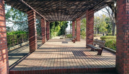 富士山がちょこっと見える＆お花見ができる「たちばな台公園」に行ってみました（注意事項あり）