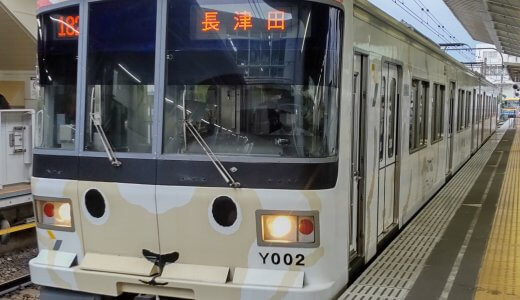 電車が好きなお子さんに嬉しい！電車をじっくり見られる長津田駅　こどもの国線はとにかく可愛いです