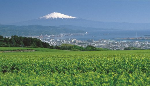 『静岡市災害ボランティアセンター』が立ち上がったそうです
