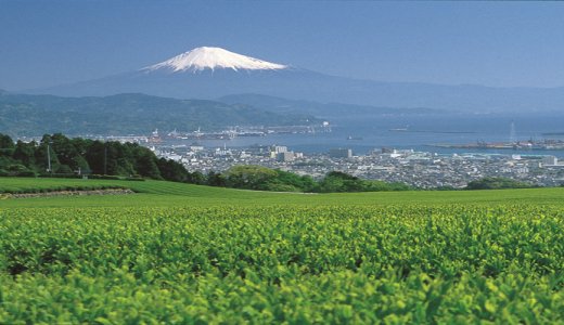 下のソーシャルリンクからフォロー