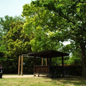 虫よけに、オニヤンマの模型が良いようです