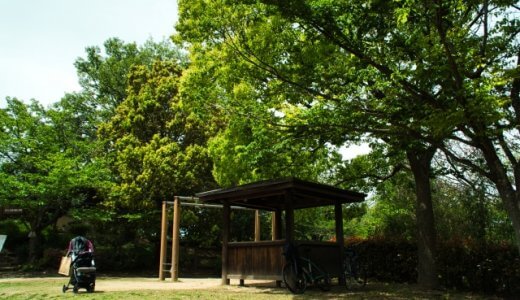 虫よけに、オニヤンマの模型が良いようです