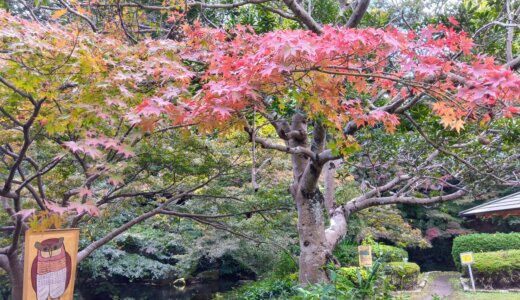 下のソーシャルリンクからフォロー